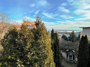 Prodej vily, Praha - Smíchov, Tichá, 317 m2