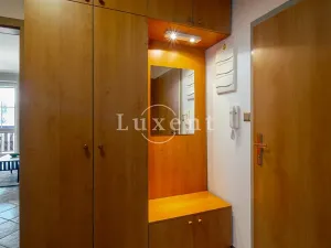 Prodej bytu 2+kk, Vítkovice, 61 m2