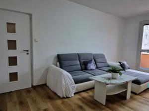 Pronájem bytu 2+1, Prostějov, Šárka, 50 m2