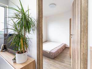 Pronájem bytu 2+kk, Mladá Boleslav, 52 m2