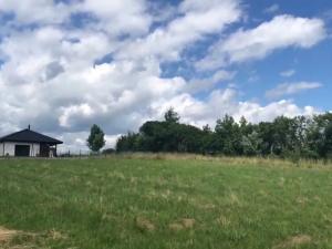 Dražba pozemku pro bydlení, Sedliště, 1650 m2