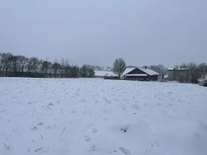 Dražba pozemku pro bydlení, Sedliště, 1650 m2