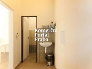 Pronájem obchodního prostoru, Praha - Nové Město, Truhlářská, 28 m2