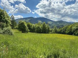 Prodej pozemku, Ostravice, 2671 m2