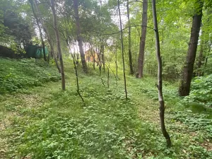 Prodej rodinného domu, Vrané nad Vltavou, Pod Březovou, 200 m2
