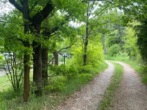 Prodej rodinného domu, Vrané nad Vltavou, Pod Březovou, 200 m2