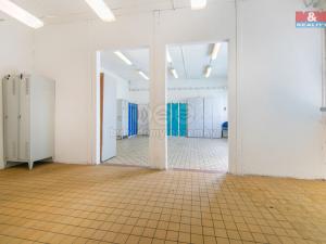 Prodej výrobních prostor, Rokycany - Nové Město, Václava Nového, 4311 m2