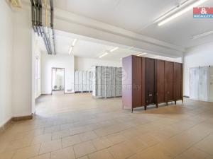 Prodej výrobních prostor, Rokycany - Nové Město, Václava Nového, 4311 m2
