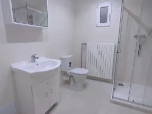 Pronájem bytu 2+1, Praha - Staré Město, Celetná, 90 m2