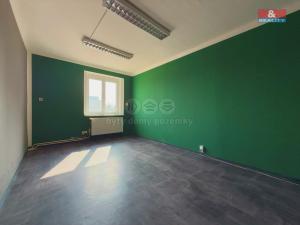Prodej obchodního prostoru, Čelákovice, Stankovského, 487 m2