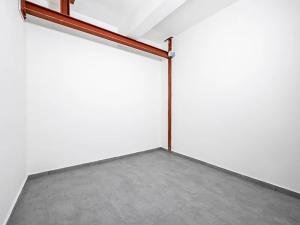 Pronájem bytu 3+kk, Praha - Vinohrady, Římská, 79 m2