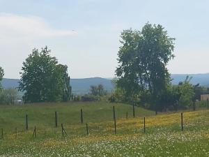 Prodej - jiné, Rokycany, Čilina, 17 m2