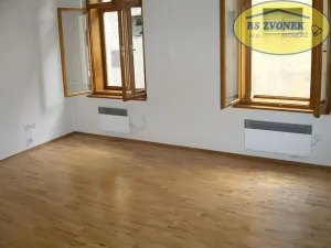 Pronájem bytu 1+1, Olomouc, Uhelná, 46 m2