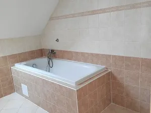 Pronájem bytu 3+kk, Blovice, Hradišťská, 66 m2