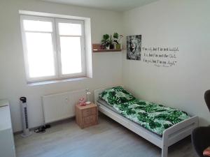 Pronájem bytu 2+kk, Janovice nad Úhlavou, Rozvojová zóna, 44 m2