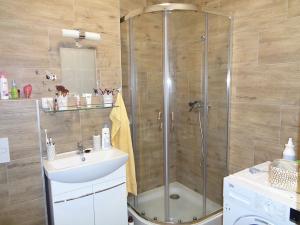Pronájem bytu 2+kk, Janovice nad Úhlavou, Rozvojová zóna, 44 m2