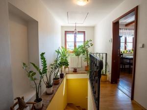 Prodej rodinného domu, Mikulov, Vinohrady, 120 m2