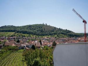 Prodej rodinného domu, Mikulov, Vinohrady, 120 m2