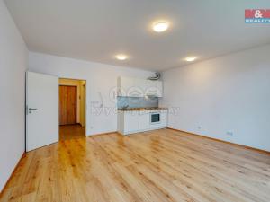 Pronájem bytu 1+kk, Plzeň, Měděná, 40 m2