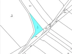 Prodej lesa, Tis, 1213 m2