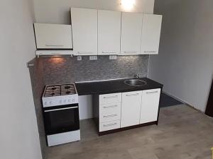 Pronájem bytu 1+1, Vysoké Mýto, Ležáků, 34 m2