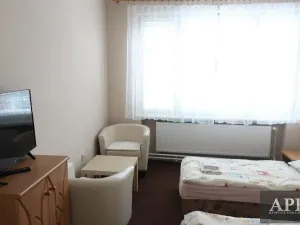 Pronájem bytu 1+kk, Uherský Brod, Mariánské nám., 25 m2
