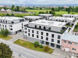 Pronájem bytu 1+kk, Olomouc, Věry Pánkové, 34 m2