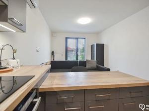 Pronájem bytu 1+kk, Olomouc, Věry Pánkové, 34 m2