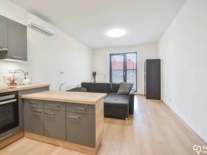 Pronájem bytu 1+kk, Olomouc, Věry Pánkové, 34 m2