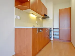 Pronájem bytu 2+kk, Praha - Řepy, Skuteckého, 57 m2