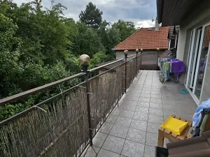 Prodej rodinného domu, Zbuzany, U Kovárny, 230 m2