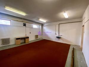 Pronájem skladu, Olomouc - Nová Ulice, Wellnerova, 62 m2