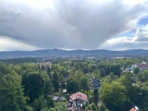 Pronájem bytu 1+kk, Liberec, Sosnová, 33 m2