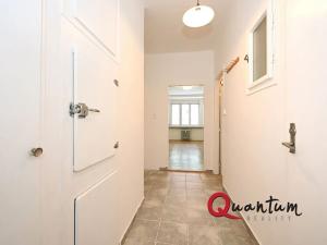 Pronájem bytu 1+kk, Praha - Žižkov, Baranova, 29 m2