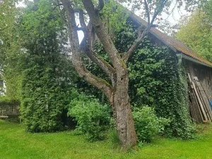Prodej rodinného domu, Želetava, 110 m2
