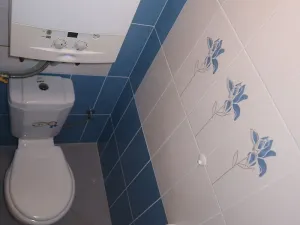 Pronájem bytu 1+kk, Praha - Žižkov, Buchovcova, 32 m2
