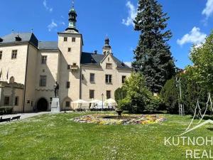 Pronájem komerční nemovitosti, Kutná Hora, Havlíčkovo náměstí, 45 m2