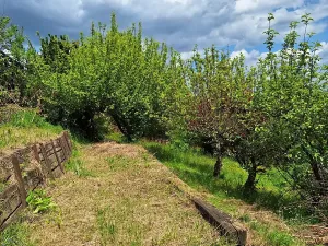 Prodej chaty, Podmoky, 37 m2