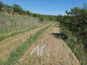 Prodej sadu/vinice, Křepice, 2199 m2