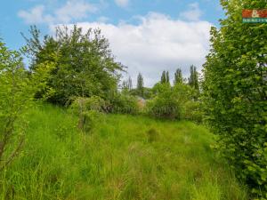 Prodej zemědělské usedlosti, Manětín - Mezí, 490 m2