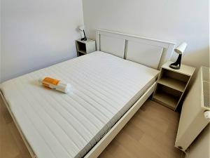 Pronájem bytu 2+kk, Olomouc, Dolní náměstí, 43 m2