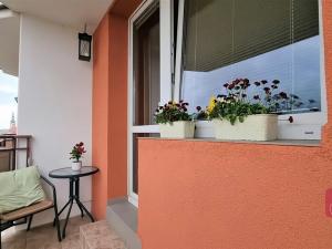 Prodej bytu 2+1, Vyškov, Dukelská, 58 m2