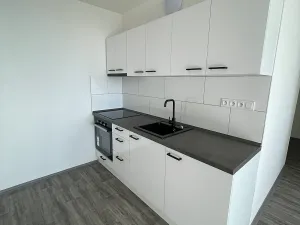 Pronájem bytu 2+kk, Litvínov, Kopistská, 40 m2