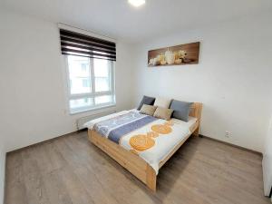 Pronájem bytu 3+kk, Ostrava - Moravská Ostrava, Důlní, 74 m2