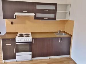 Pronájem bytu 1+kk, Jablonec nad Nisou, Podhorská, 40 m2