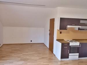 Pronájem bytu 1+kk, Jablonec nad Nisou, Podhorská, 40 m2