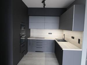 Pronájem bytu 3+kk, Ostrava - Moravská Ostrava, Důlní, 79 m2