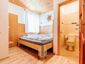 Pronájem komerční nemovitosti, Lažánky, 500 m2