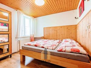 Pronájem komerční nemovitosti, Lažánky, 500 m2