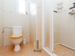 Pronájem komerční nemovitosti, Lažánky, 500 m2